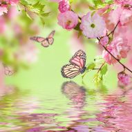 Фотообои Розовые бабочики и цветы