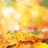 Фреска Осенние листья