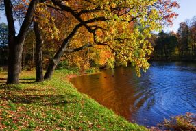 Фотообои Осень на берегу озера