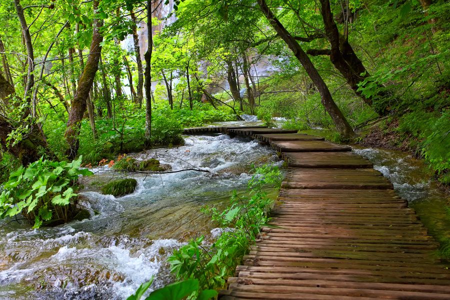 Фотообои Горная река в парке с деревянной тропой