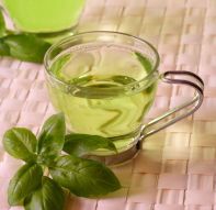 Фреска Чашка зеленого чая