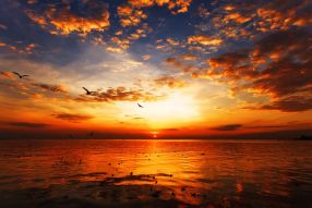 Фотообои Персиковый закат у моря