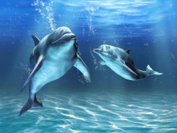 Фреска Дельфины под водой