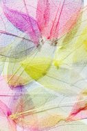 Фреска Абстракция разноцветные прожилки на лепестках