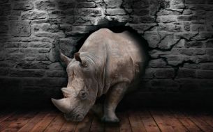 Фреска Сокрушительный 3D носорог