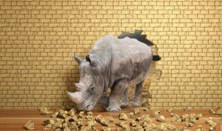 Фреска 3D носорог пробивает стену