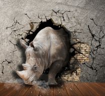 Фреска носорог