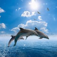 Фреска Дельфины