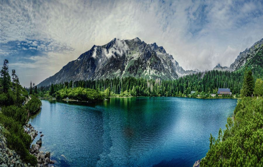 Фреска Панорама озера