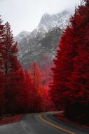 Фреска Красный лес
