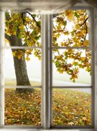 Фреска Осень в окне